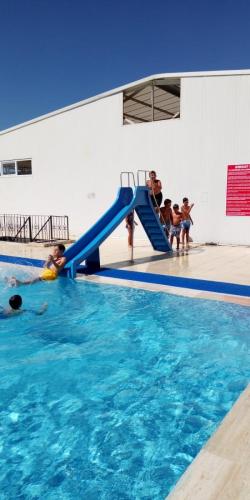 IMG-20190809-WA0009