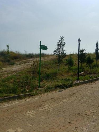papatya sokak 1