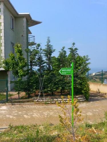 papatya sokak 2