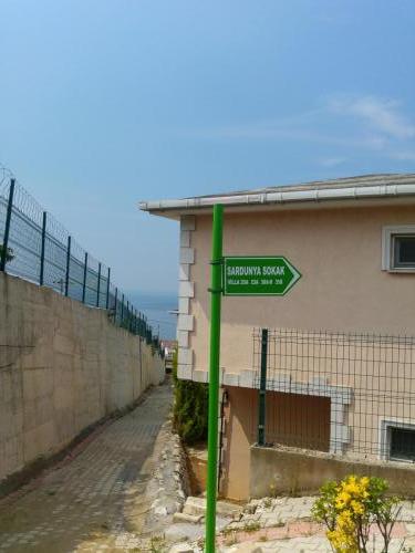 sardunya sokak